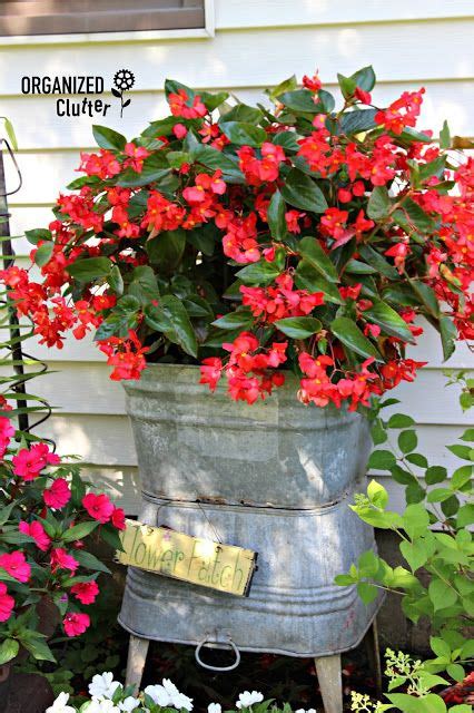 You can buy plastic, forged pots in the store: Galvanized Laundry Tub Planter Ideas #containergarden # ...