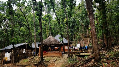 ‘guests In Our Own Homes The Forest Tribe Of Indias Himalayas