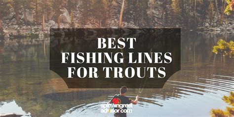 For a perfect trout fishing setup, you need to choose the right line weight. Best Fishing Line For Trout | Hook More With The Right Line
