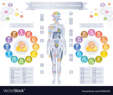 Mineral Vitamin Supplement Icons Health Benefit Vector Image