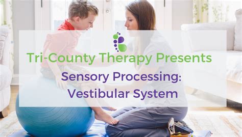 Sensory Processing Vestibular Tri County Therapy Pediatric Therapy