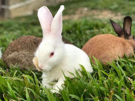 Maybe you would like to learn more about one of these? arnab 1 - InfoSantai