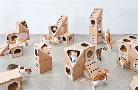 Modular Cat Furniture Crafted From Cardboard Boxes