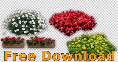 Also png bilder download available at png transparent variant. Freigestellte Blumen (PNG) - Kostenloser Download