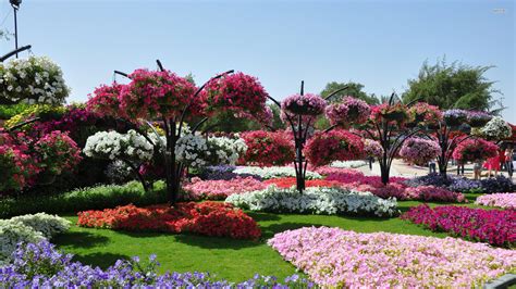 Popular Beautiful Flowergarden Wallpaper