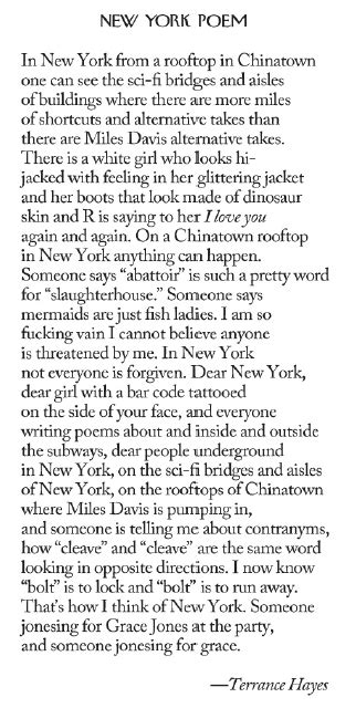 “new York Poem ” By National Book Award Winner Terrance Hayes From The November 29 2010 Issue
