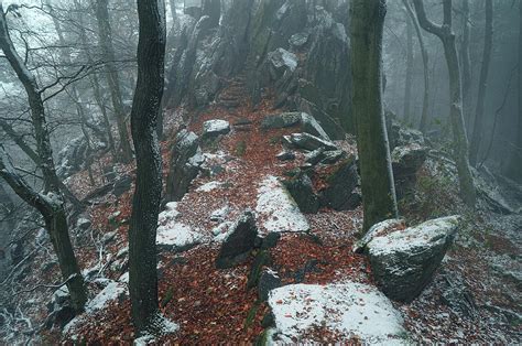 Rocky Path In Mysterious Woods Photograph By Jenny Rainbow Fine Art