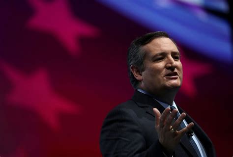 Ted Cruz Warns Democrats Want To Bring Tofu And Dyed Hair To Texas