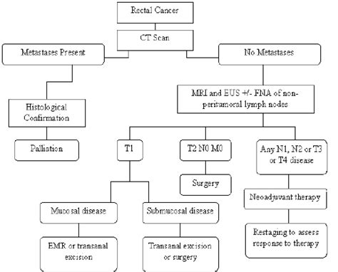 Management Of Rectal Cancer From Staging To Treatment Ct Scan