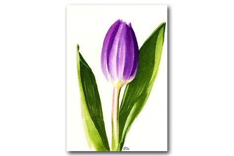 Purple Tulip Watercolor Painting — Sandrines Gallery