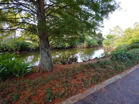 Avas flowers has the experience and history to be known as a premium floral delivery service. Wilkerson Creek Park & Children's Playground, Old Camp Rd ...