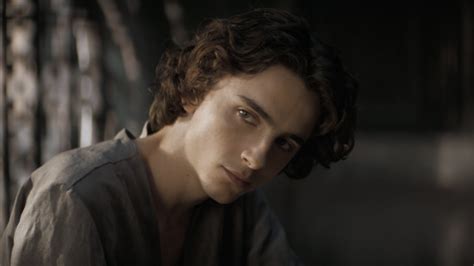 Timothée Chalamet Responds To The Thirst Tweets After The Internet Lost Its Mind Over His Wonka