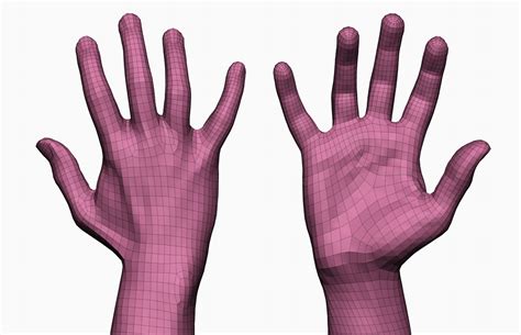 male and female 3d hand pack