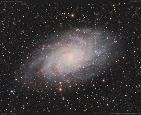 M33 Triangulum Galaxy In Lrhagb