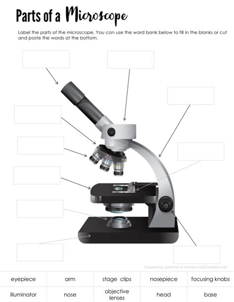 Microscope Parts Worksheet Printable Word Searches