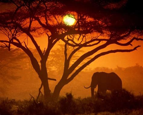 Kenia Pixdaus African Sunset Kenya Travel Kenya Safari