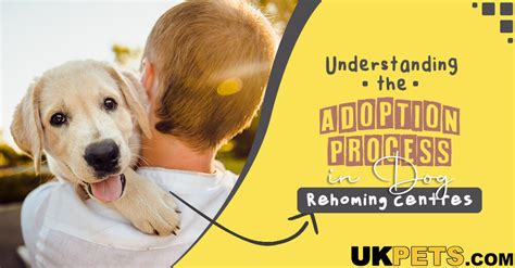 How To Adopt From Dog Rescue Centres Uk Pets