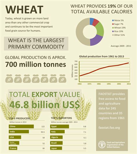 Infographic Wheat Is The Largest Primary Commodity
