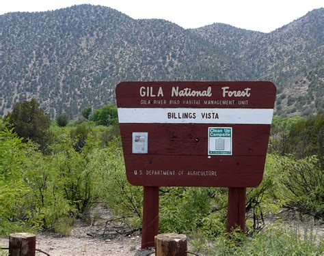 Hiking Forest Trail 746 In New Mexicos Gila National Forest Casitas