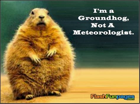 16 Inspirational Quotes About Groundhog Day Richi Quote
