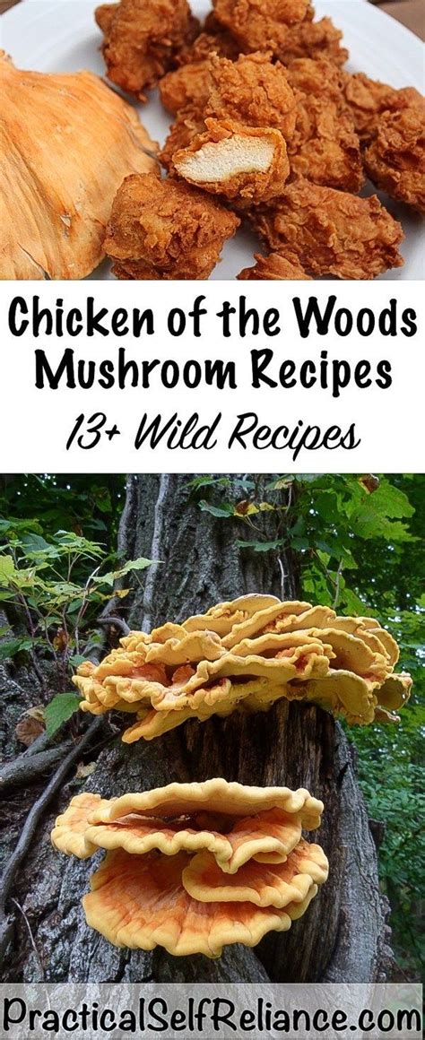 Chicken Of The Woods Mushroom Recipes Wild Mushroom