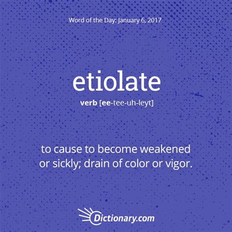 Try Using Todays Word Of The Day In A Sentence Wotd Wordoftheday