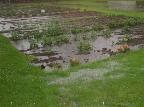 How To Improve Clay Soil And Poor Garden Drainage Dengarden
