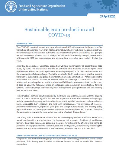 Sustainable Crop Production And Covid Policy Support And Governance Food And Agriculture