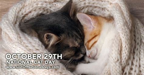 National Cat Day October 29th List Of National Days