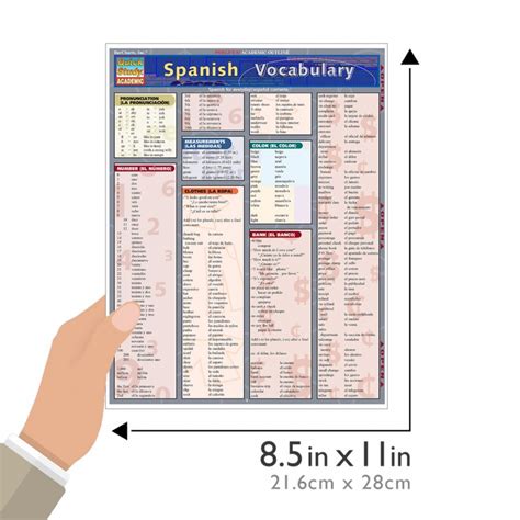 Quickstudy Spanish Vocabulary Laminated Study Guide