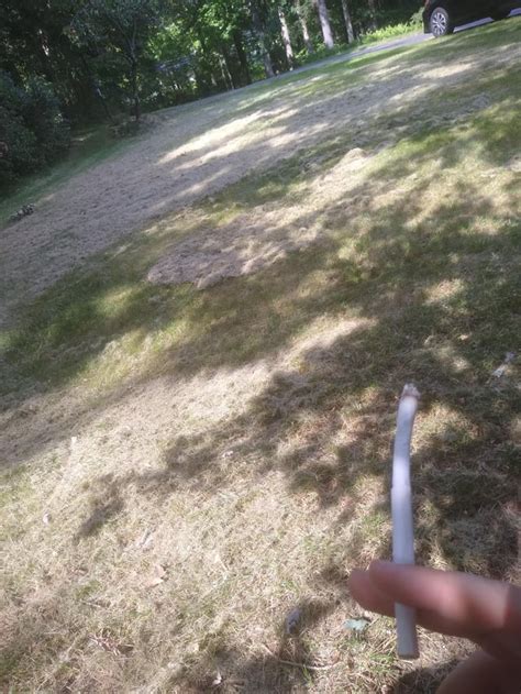 Chillin With A Long Boi After Mowing The Lawn Rcigarettes