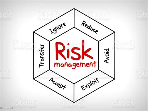 Risk Management Strategies Ignore Accept Avoid Reduce Transfer And