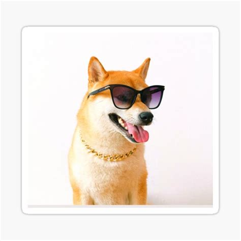 Doge Sunglasses Sticker By Samedhightlangs Redbubble