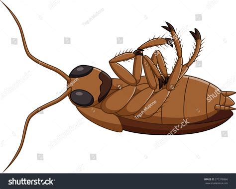 cartoon dead cockroach stock vector royalty free 371378866