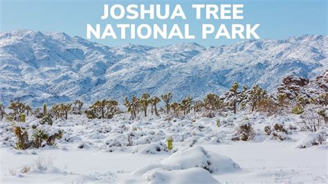 Snow In Joshua Tree National Park Youtube