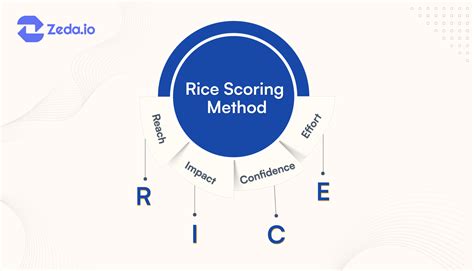 Understanding The Rice Score Framework