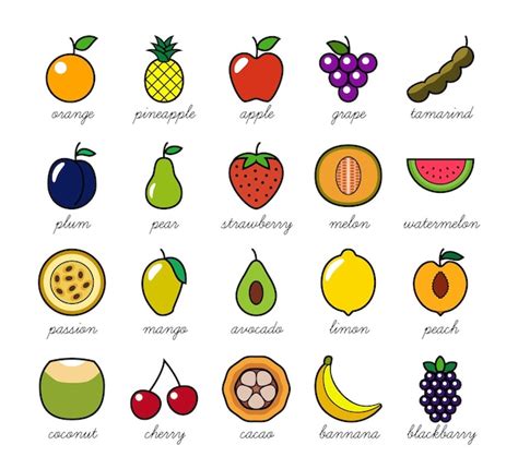 Premium Vector Colorful Simple Fruit Drawing Perfect For Children39s