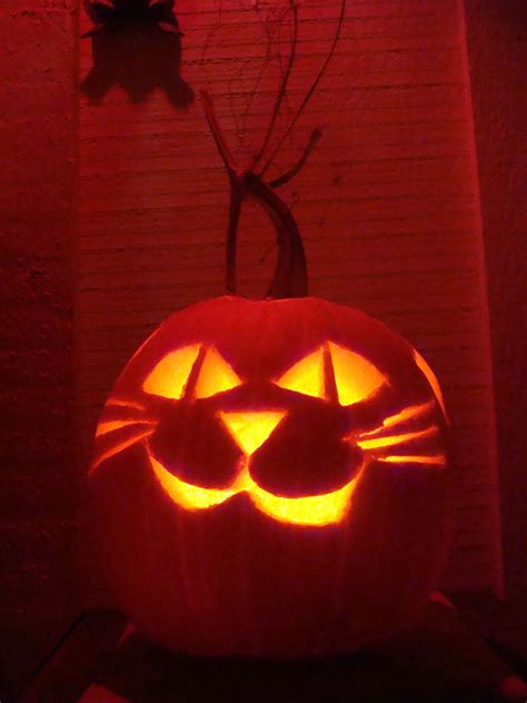 Beautify Your Home With These Jack O Lantern Cat Ideas