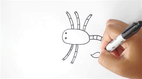 ¿cómo Dibujar Un EscorpiÓn Dibujo De Escorpión