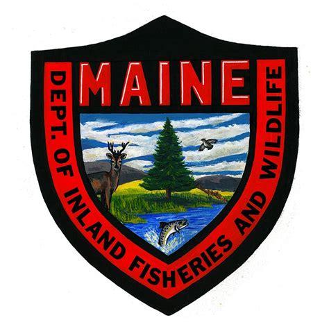 Department of game and inland fisheries hunter safety course. Maine Bowhunter Safety / Turner - ifwrecsafetycourses