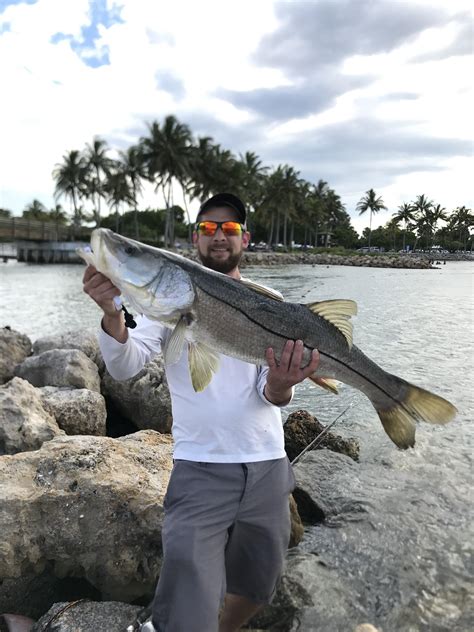 Saltwater South Florida Snook Rfishing