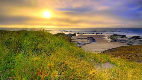 Peaceful Morning Over Seashore Seashore Grass Nature Sunrise