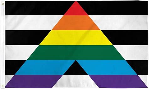 LGBT Bondgenoot Hetero Vlag 150x90cm Alliantie Homo Hetero Vlag 90 X