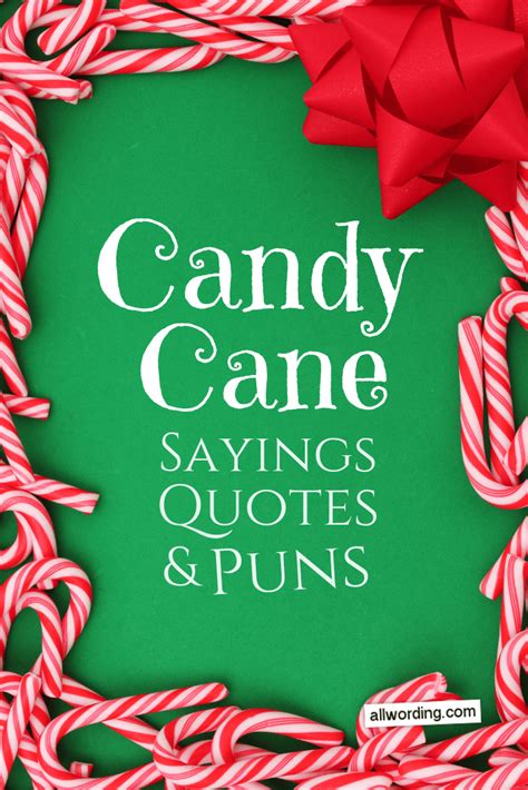 A Sweet And Twisted Collection Of Candy Cane Sayings