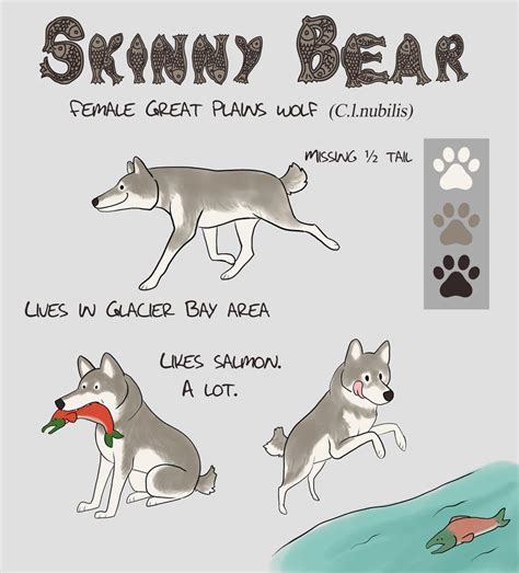 skinny bear ref sheet by nekonotaishou on deviantart