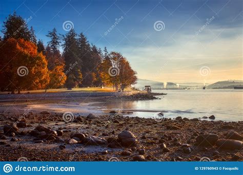 Colorful Autumn Foliage At Stanley Park Stock Image Image Of