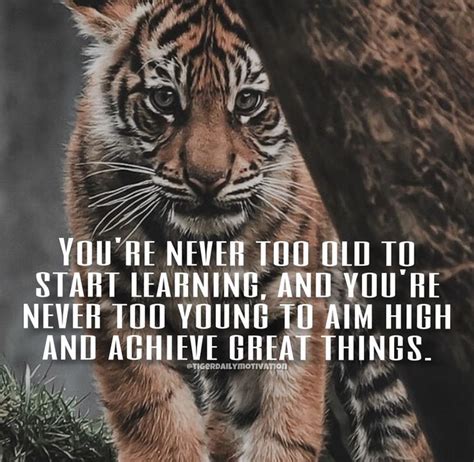 40 Powerful Inspirational Tiger Quotes