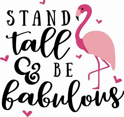 Flamingo Quotes Sayings Words Picsart