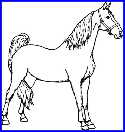 Horse Coloring Pages Online at GetColorings.com | Free printable colorings pages to print and color