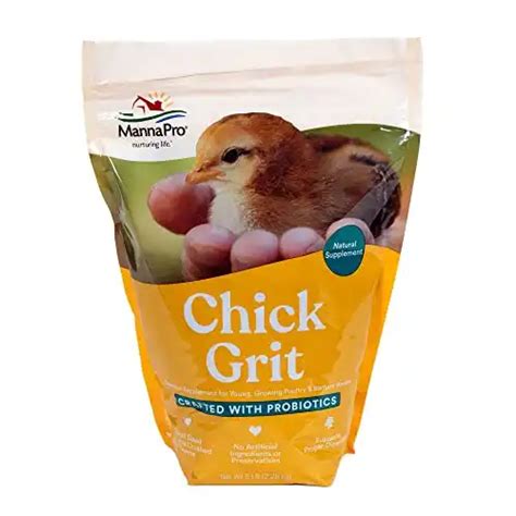 Can Baby Chicks Eat Mealworms The Hip Chick